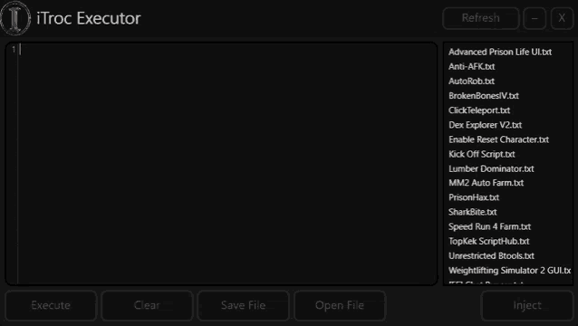 a screenshot of a program called itroc executor showing a list of files