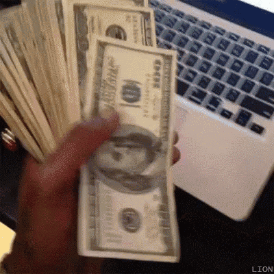 a person is holding a large stack of money in front of a laptop .