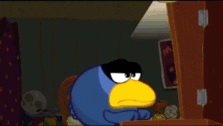a cartoon bird with a yellow beak and black eyes looks angry