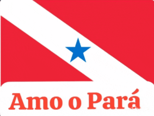 a red white and blue flag with a blue star and the words amo o para on the bottom