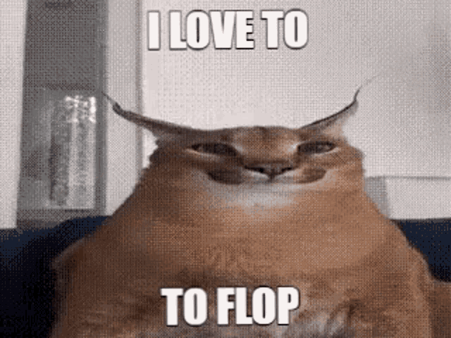 I Love To Flop GIF - I Love To Flop GIFs