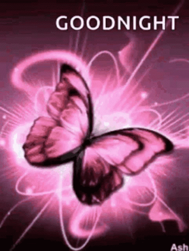 Butterfly GIF - Butterfly - Discover & Share GIFs
