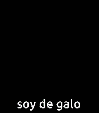 a pixelated image of a person with the words soy de galo written on the bottom