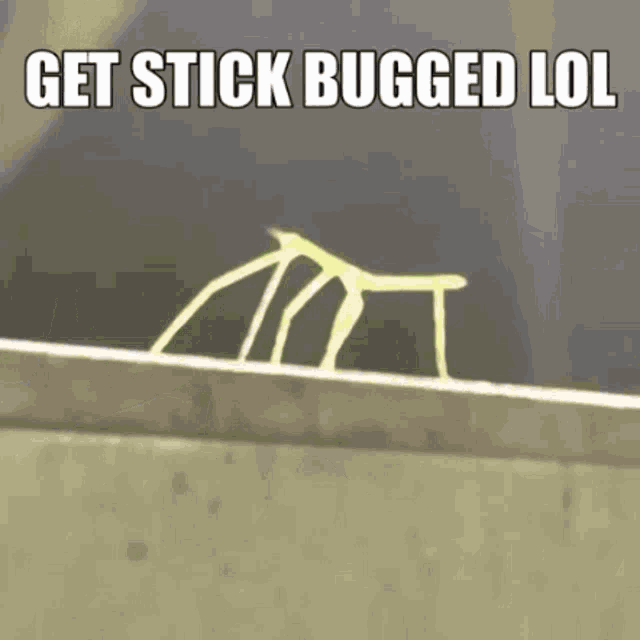 Stickbuglol GIF - Stickbuglol GIFs