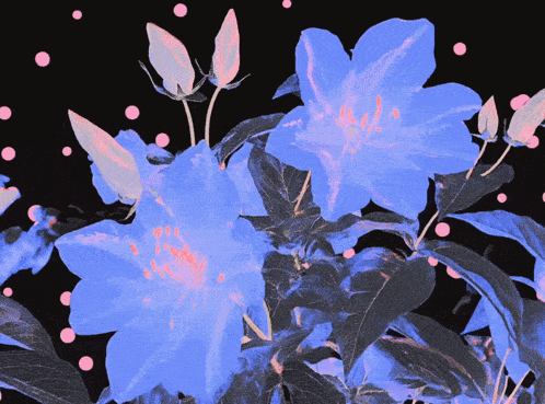 a bunch of blue flowers with pink dots on a black background