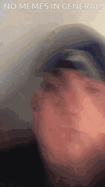 a blurred image of a man with the words no memes in general
