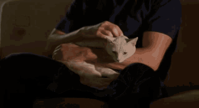 a man is sitting on a couch holding a cat in his lap