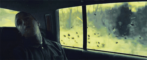 a man is sleeping in the back seat of a car with a lot of bugs on the window