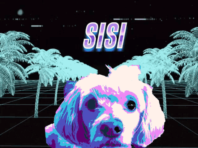 a dog with the word sisi written on it