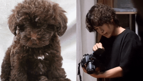 a man is taking a picture of a brown puppy