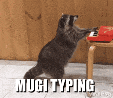 a raccoon standing on its hind legs playing a small red piano with the words much typing written below it