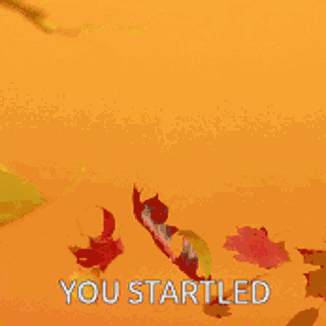a yellow background with leaves and the words you startled
