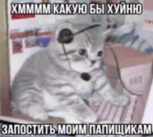 a kitten wearing headphones and a headset is sitting in front of a computer keyboard .