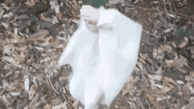 a person in a white dress is standing in the woods holding a white cloth .