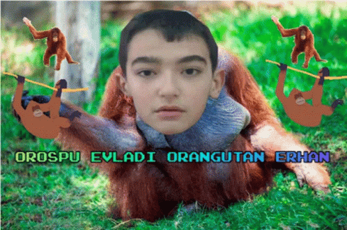 Orospu Evladıerhan Orangutan GIF - Orospu Evladıerhan Orangutan Erhan GIFs