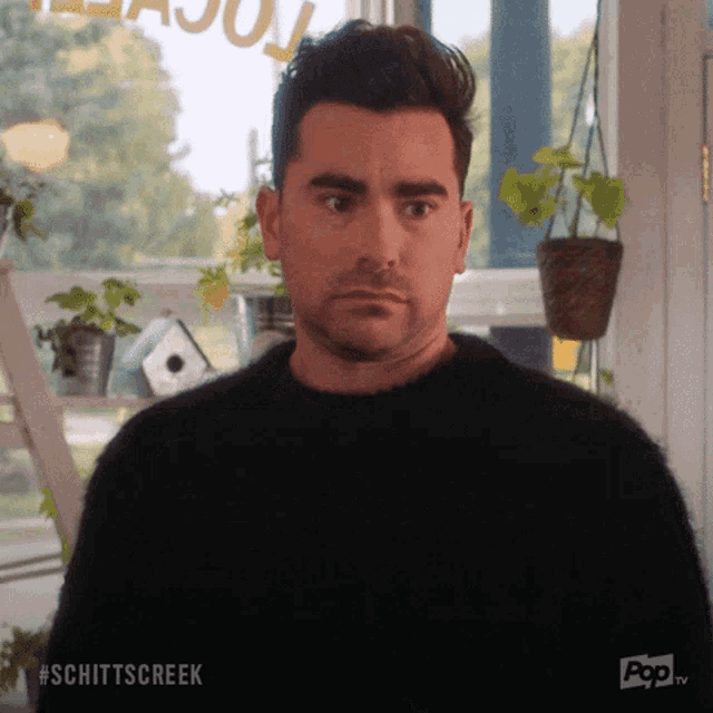 a man in a black sweater is standing in front of a window with potted plants hanging on the wall .