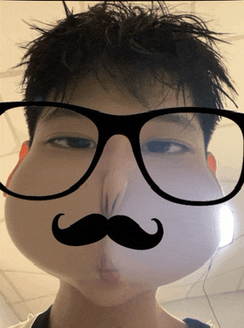 a young man with glasses and a fake mustache on his face