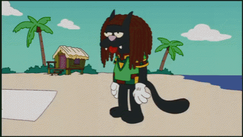 a cartoon cat with dreadlocks and sunglasses standing on a beach