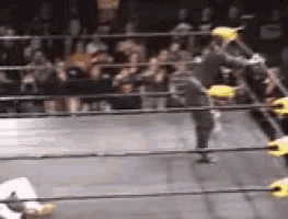 a blurred image of a wrestling match in a ring with a crowd in the background .