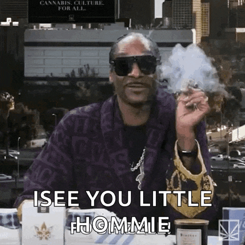 snoop dogg is sitting at a table smoking a cigarette and says i see you little hommie .