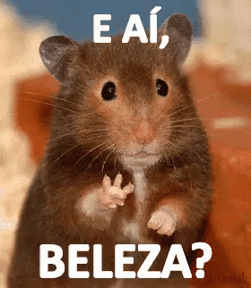 Rato Eai Beleza GIF - Mouse Whats Up Cool GIFs