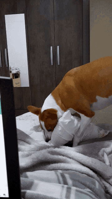 a dog laying on a bed with its head on a pillow