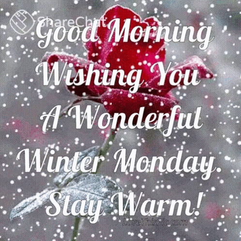 Good Morning Wishing You A Wonderful Winter Monday GIF - Good Morning Wishing You A Wonderful Winter Monday Stay Warm GIFs
