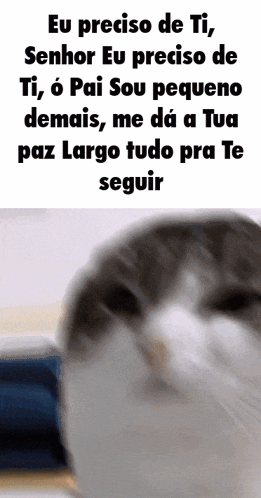 a close up of a cat with the words eu preciso de ti on the bottom