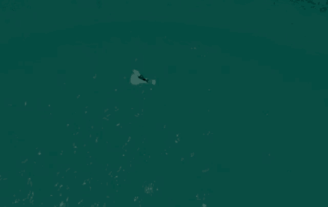 a person is swimming in the ocean at night