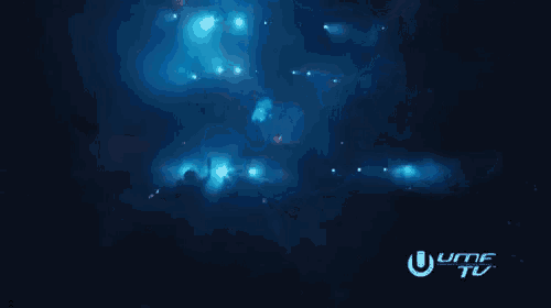 a crowd of people at a concert with the word umf on the bottom right