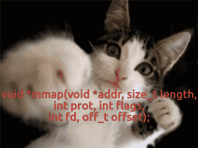 a picture of a cat with the words void mmmap ( void addr size length