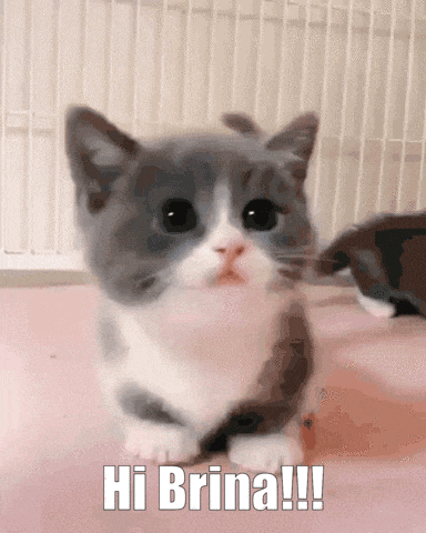 a gray and white kitten is sitting on a pink surface and says hi brina !!!