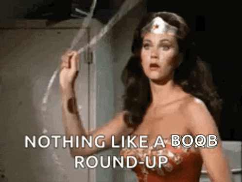 wonder woman is holding a rope and saying `` nothing like a boob round up '' .