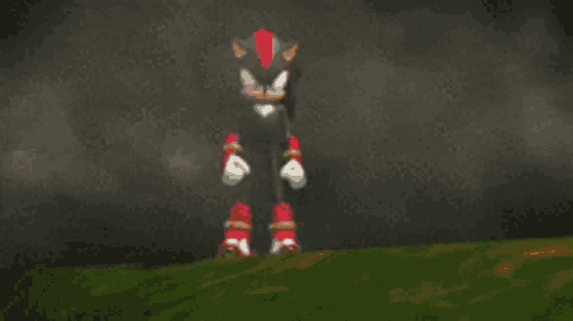 shadow the hedgehog is standing on top of a grass covered hill