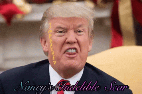 Trumps Scar Impeach Trump GIF - Trumps Scar Impeach Trump Nancys Scar GIFs