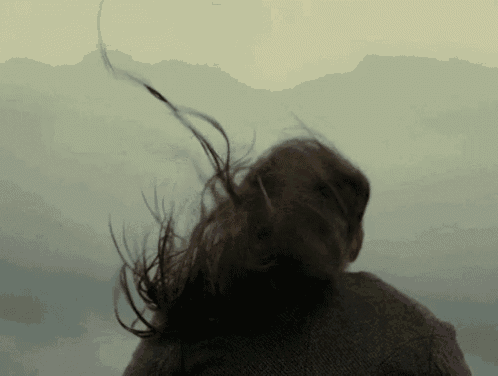 a woman 's hair is blowing in the wind in front of a mountain range .