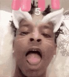 a close up of a person wearing a cat filter on their face .