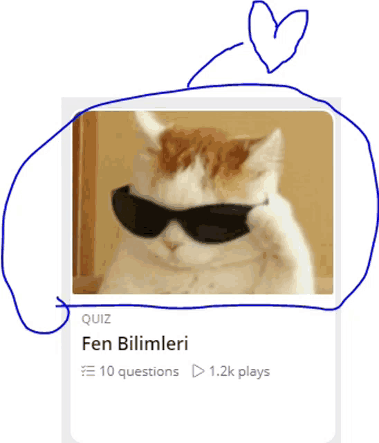 a picture of a cat wearing sunglasses with quiz fen bilimleri written below it