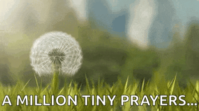 a dandelion is growing in the grass with the words `` a million tiny prayers ... ''