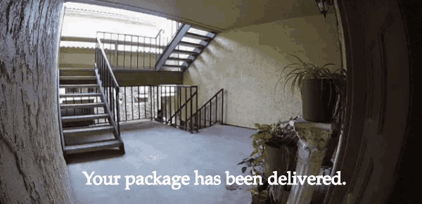 Your Package Has Been Delivered GIF