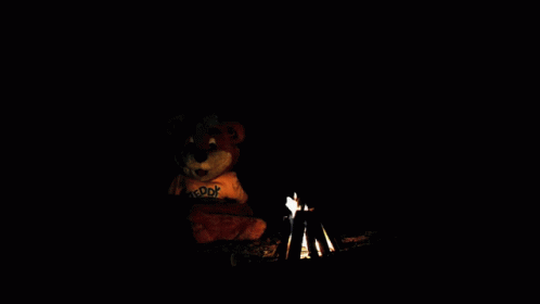 Zellers Zeddy GIF - Zellers Zeddy Campfire GIFs