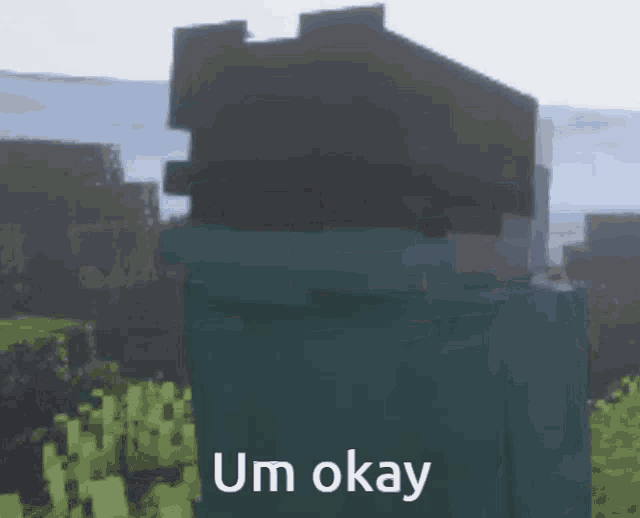 a picture of a minecraft character with the words um okay on the bottom