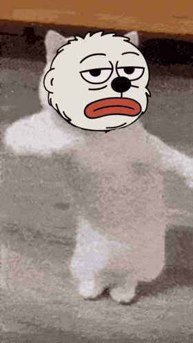 a white cat with a cartoon face on its head .