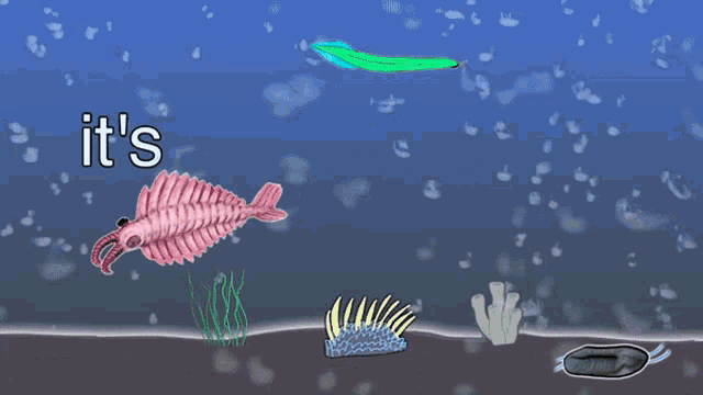 a poster that says it 's the cambrian explosion in blue