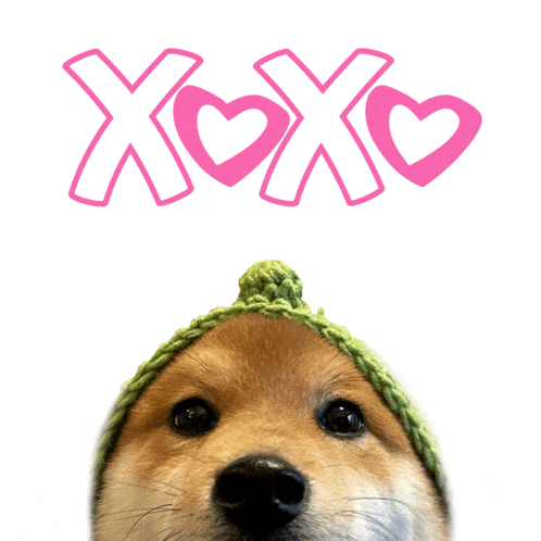 a dog wearing a green hat is looking up at the words xoxo