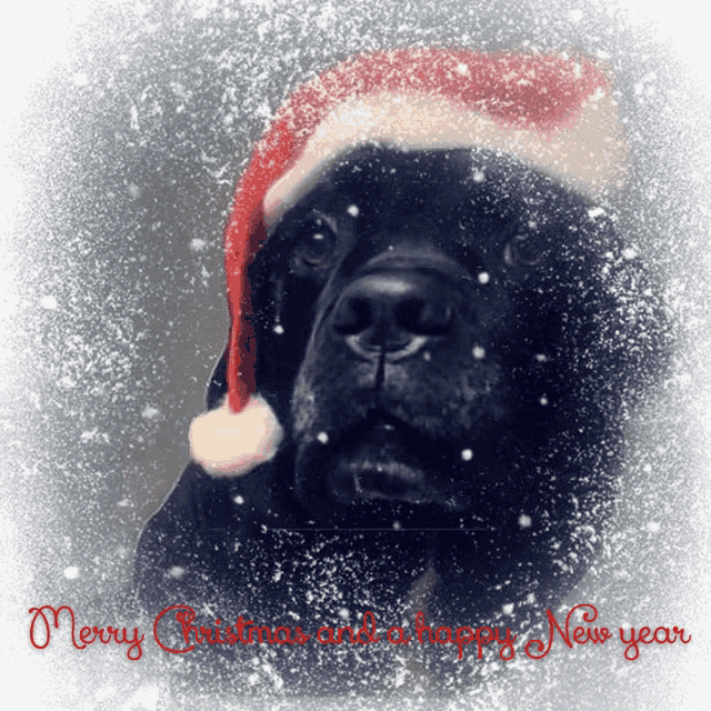 a black dog wearing a santa hat with merry christmas and a happy new year written on the bottom