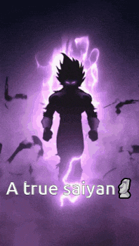 a picture of a silhouette of a person with the words a true saiyan