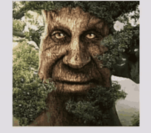 Wise Mystical Tree Smiling Mystical Tree GIF - Wise Mystical Tree Smiling Mystical Tree GIFs