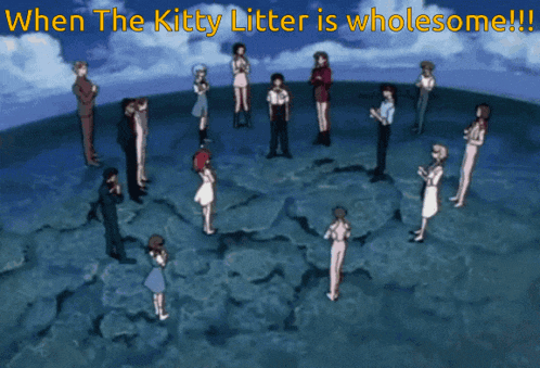 a group of people are standing in a circle with the words when the kitty litter is wholesome