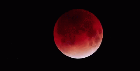 خسوف القمر يوليو يولية تموز 2018 قمر دامي أحمر هلال نصف GIF - Lunar Eclipse July2018 Blood Moon GIFs